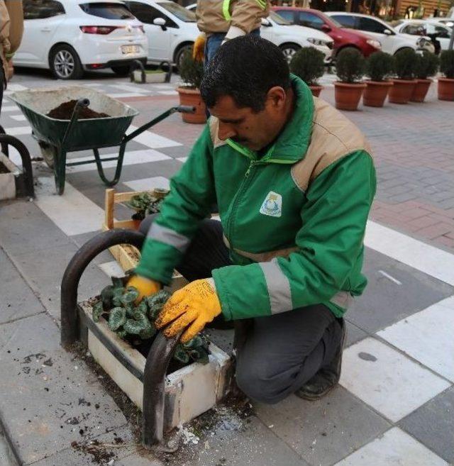 Bahçelievler Çiçeklerle Donatıldı