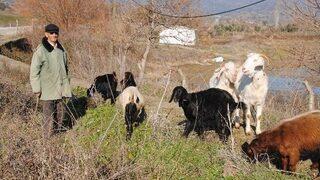 Doğuda Kar, Aydın’da Bahar