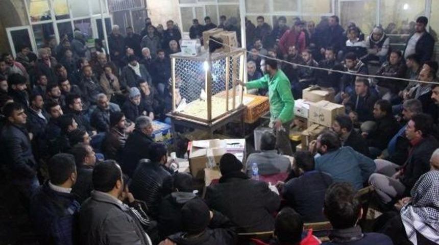 Şanlıurfa&rsquo;Da, Otomobil Fiyatına G&uuml;vercin