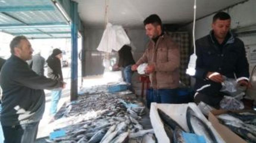 Balık Fiyatları D&uuml;şt&uuml;