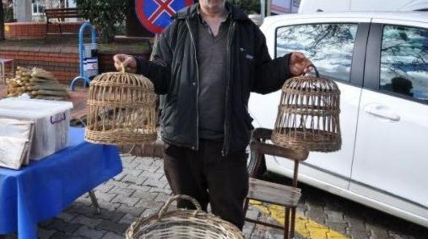 Ağacı Sanata D&ouml;n&uuml;şt&uuml;r&uuml;yor