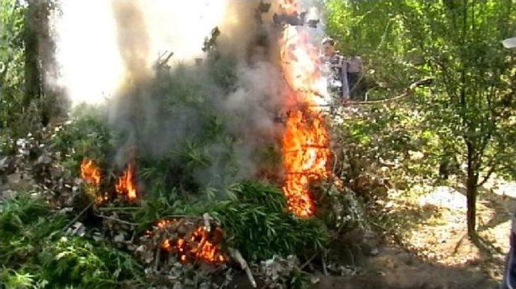 Diyarbakır’da Uyuşturucuya Tarihin En Büyük Darbesi Vuruldu G3