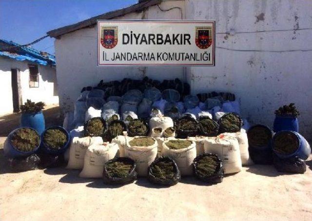 Diyarbakır'da 1 Yılda 83 Ton Esrar Ele Geçirildi