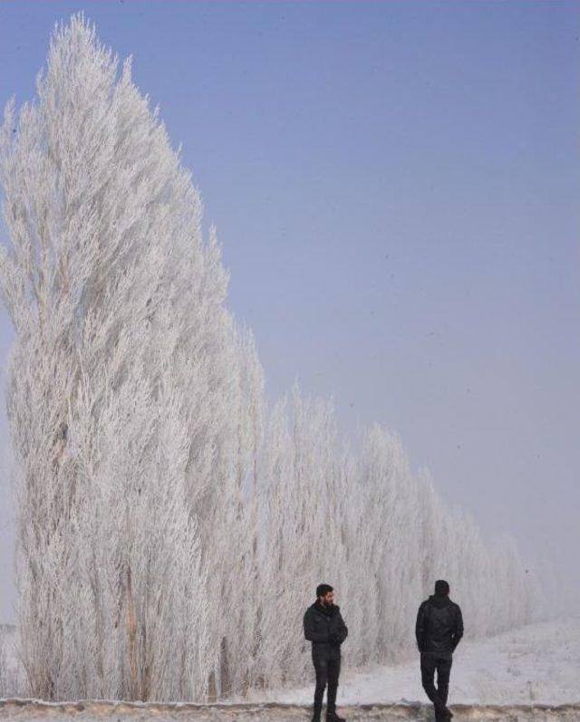 Doğu'da Sibirya Soğukları