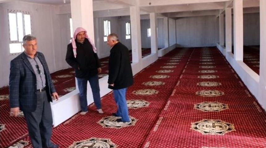 Harran Belediyesinden Cami Ve Taziye Evlerine Halı Desteği