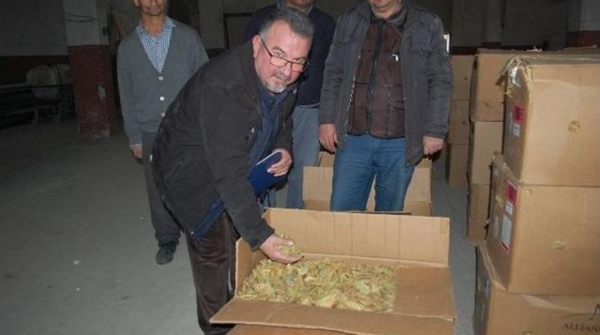 Gördes’te Tütün Alımları Başladı