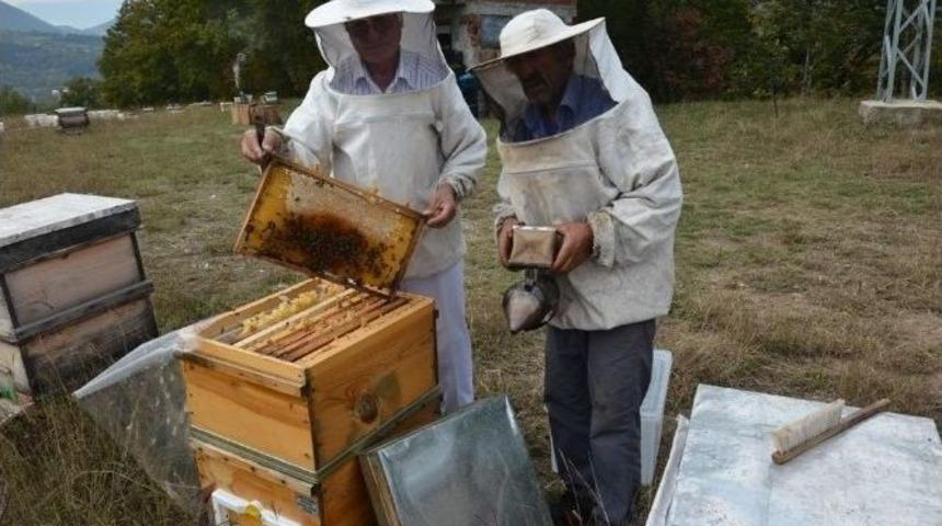 Artvin’de 434 Orman Köylüsüne 2 Milyon Tl Kredi Verildi