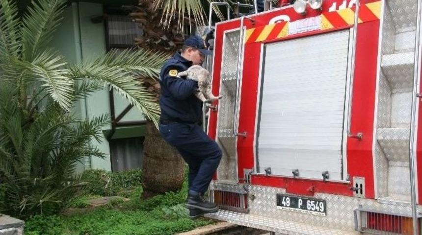 Beslenmek İ&ccedil;in Girdiği Otelden İtfaiye Yardımıyla &Ccedil;ıktı