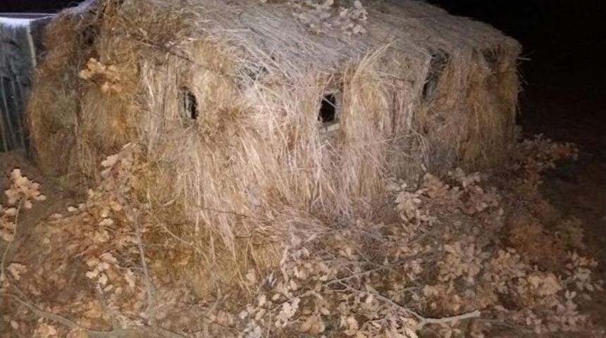 Ka&ccedil;ak Avcılara Operasyon