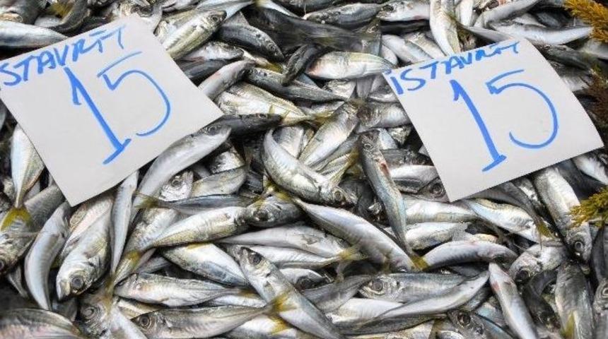 İstavritin Fiyatı D&uuml;şt&uuml;, &Ccedil;inekopa G&uuml;n Doğdu