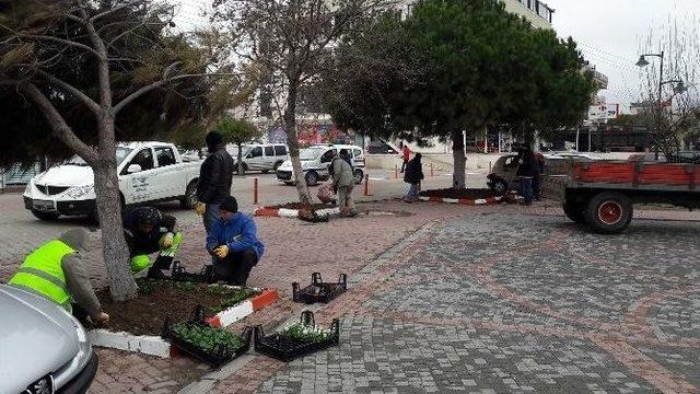 Marmaraereğlisi’nde Çiçek Dikimi Çalışmaları