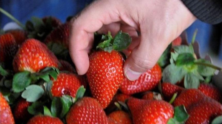 Kiloyla Değil Gramla Satılıyor