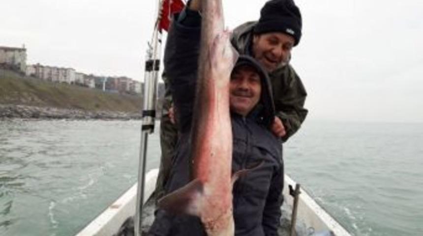 Alaplı&rsquo;da Balık&ccedil;ıların Ağına K&ouml;pekbalığı Takıldı