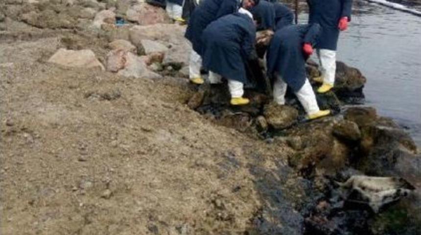 İzmit K&ouml;rfezi'nde Temizlik &Ccedil;alışkalarına Devam