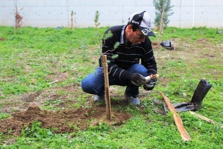Ölen Çocukları İçin Hastane Bahçesini Ağaçlandırdılar G1