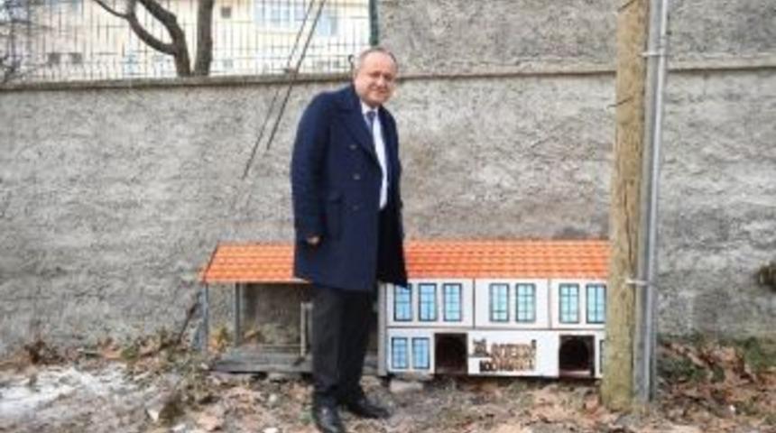 Kastamonu&rsquo;da Sokak Kedilerinin De Artık Yuvası Var