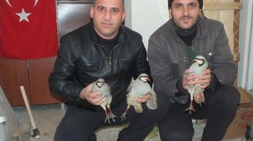 Avcılardan &Ouml;rnek Davranış