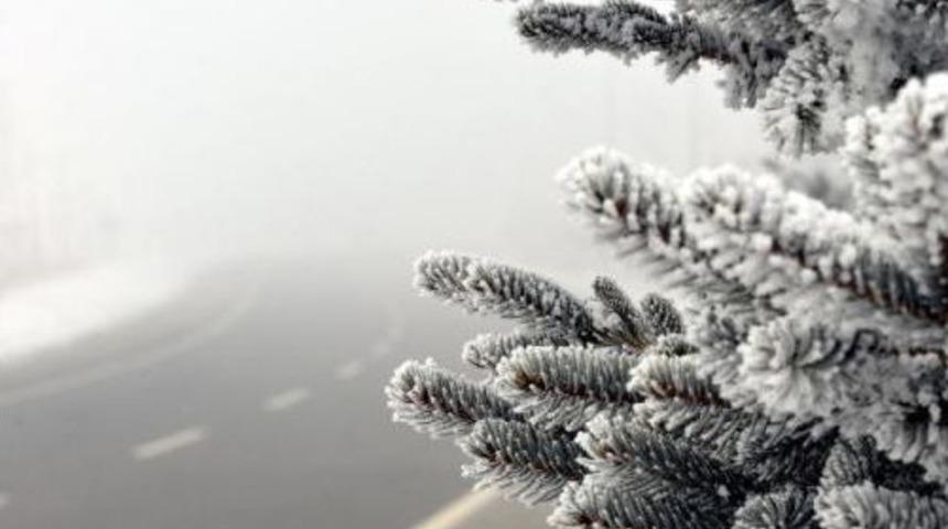 Sibirya Soğukları Doğu'yu Esir Aldı