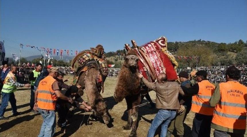 Milas&rsquo;ta Develer Eğitim Yararına G&uuml;reşti