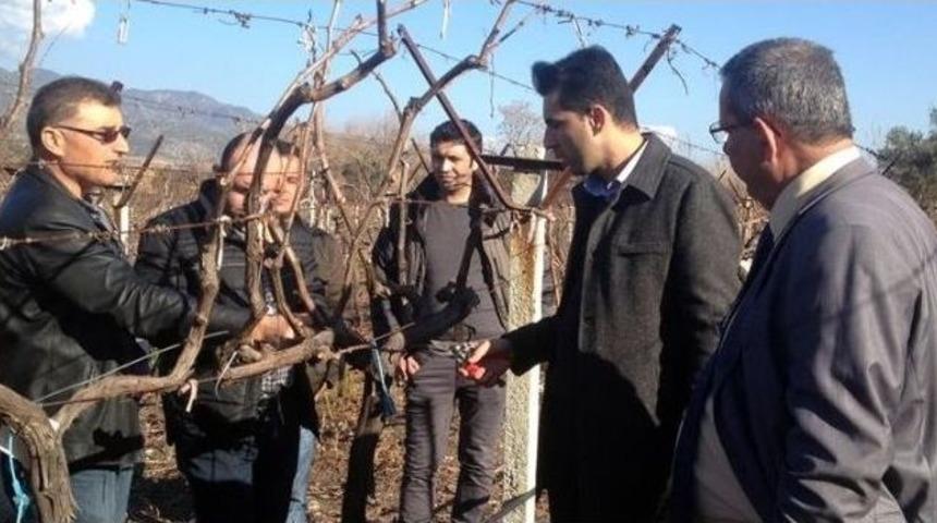 Buharkent&rsquo;te &Uuml;z&uuml;m &Uuml;reticilerine Eğitim Verildi