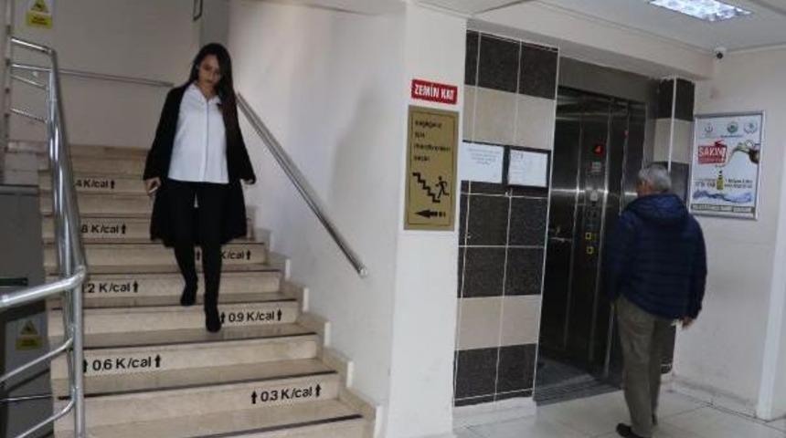 Bu Merdivendeki Her Basamakta Harcanan Kalori Yazıyor