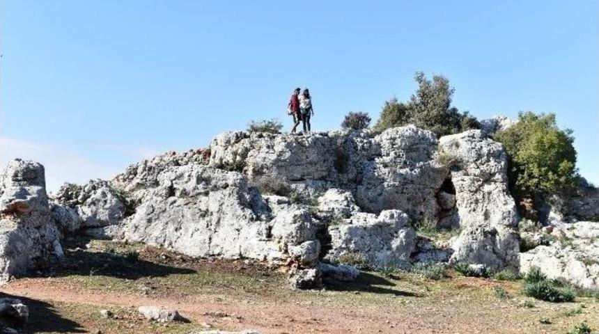 Lyrboton Kome G&uuml;n Y&uuml;z&uuml;ne &Ccedil;ıktı