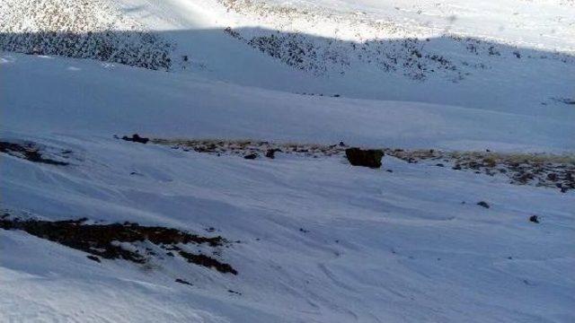 Sömestir Tatiline Gelen Liseli Genç, Erciyes'te Kayak Yaparken Uçuruma Düşüp Öldü