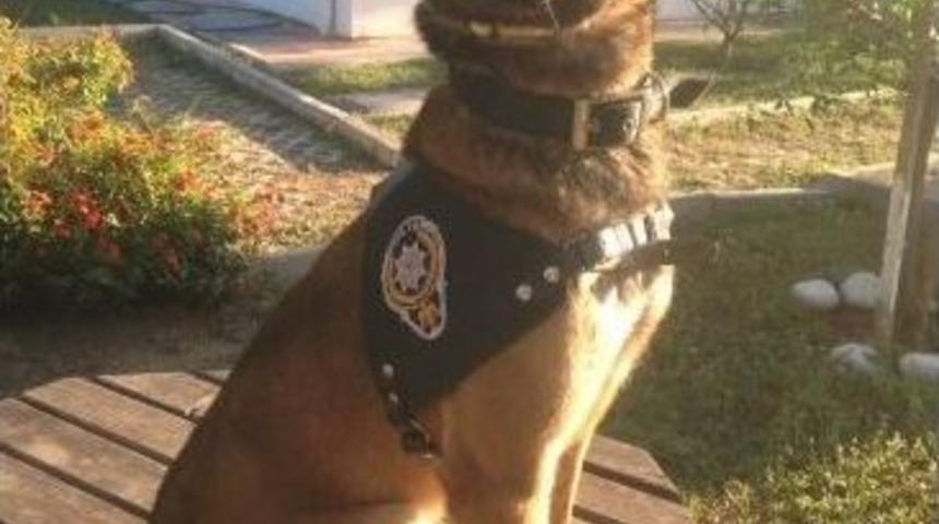 Van&rsquo;da 37 Kilo Eroin Ele Ge&ccedil;irildi