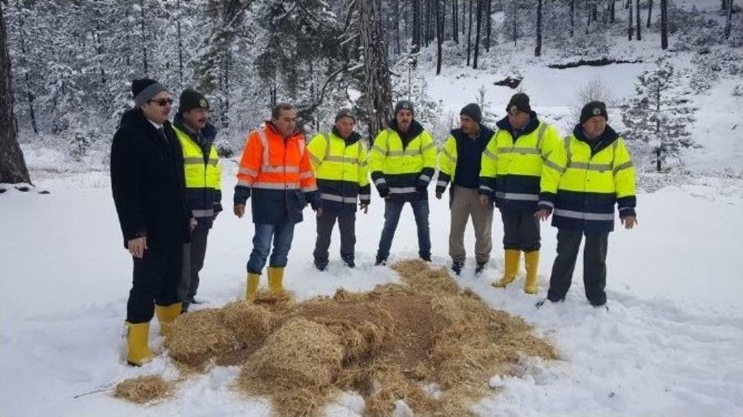M&uuml;d&uuml;r Adnan Kayım: Yaşadığımız D&uuml;nyaya Duyarlı Olalım, Yaban Hayvanlarını Unutmayalım