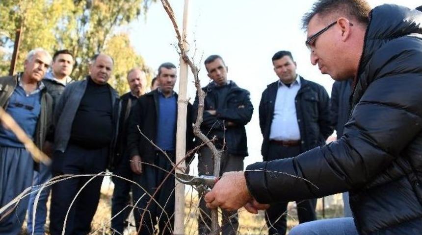 Çiftçi Bilinçleniyor, Üretim Artıyor