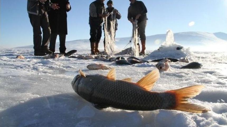 &Ccedil;ıldır Kristal G&ouml;l 4. Uluslararası Kış Ş&ouml;leni