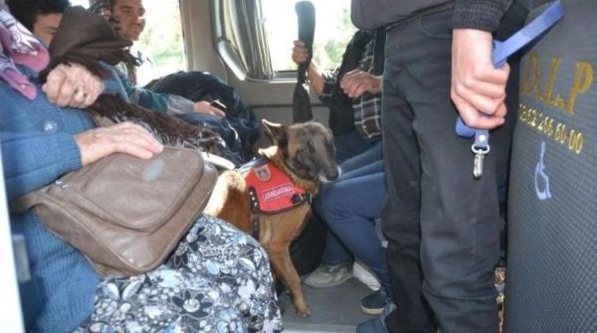 Uyuşturucuya Karşı Yol Denetimi