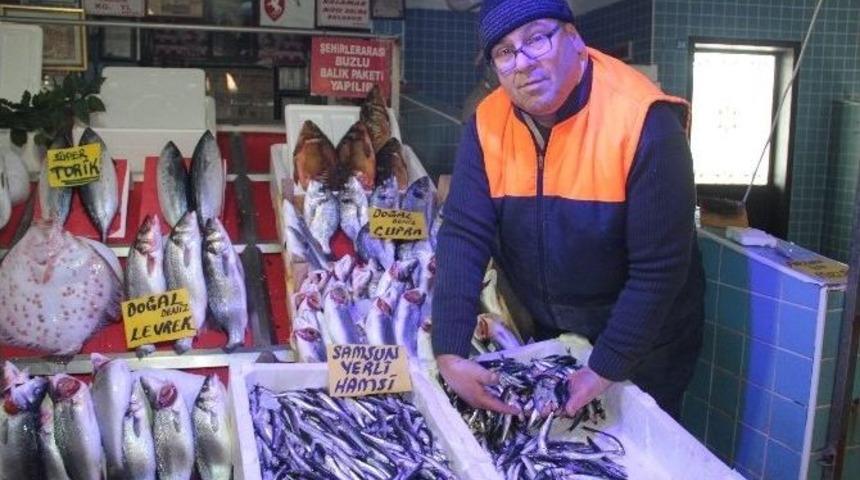 Samsun&rsquo;da Hamsi 20 Tl