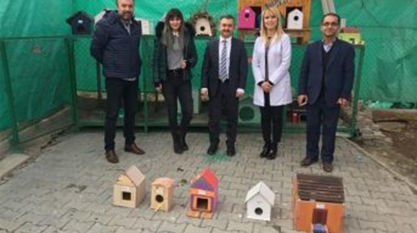 &Ouml;ğrencilerden Sokak Hayvanları İ&ccedil;in Barınak