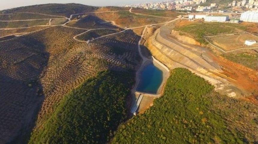 Beylikdağı, Gebze&rsquo;nin Akciğeri Olacak