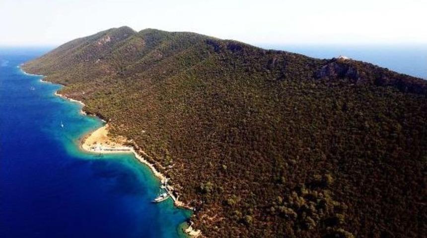 D&uuml;nya Bodrum'un Bu G&uuml;zelliklerini Konuşuyor