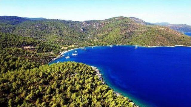 Dünya Bodrum'un Bu Güzelliklerini Konuşuyor