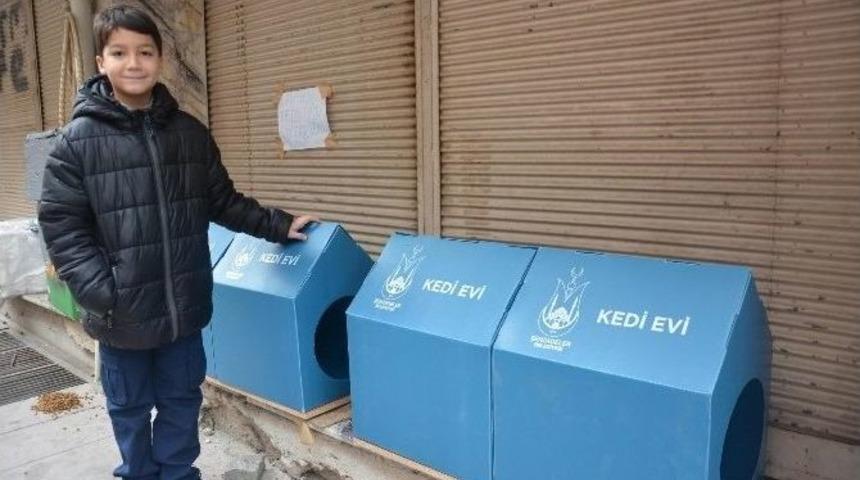 Minik Mesut&rsquo;un Duyarlılığı Kedileri Donmaktan Kurtardı