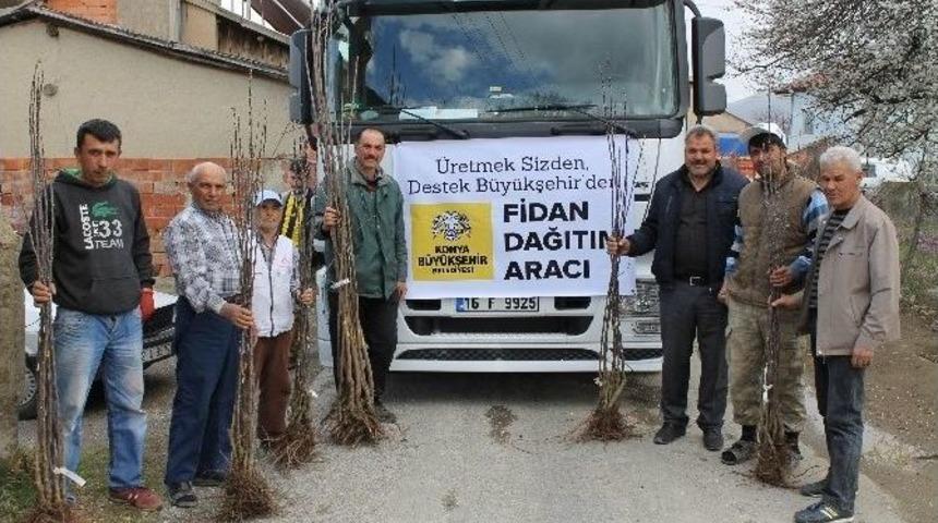Konya&rsquo;da &Ccedil;ift&ccedil;iye 2016&rsquo;da 9,2 Milyonluk Fidan Ve Fide Desteği Sağlandı