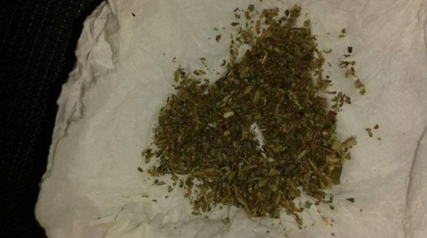 &Ouml;nleyici Hizmetler Şube M&uuml;d&uuml;rl&uuml;ğ&uuml; Ekiplerinin &Ccedil;alışmaları