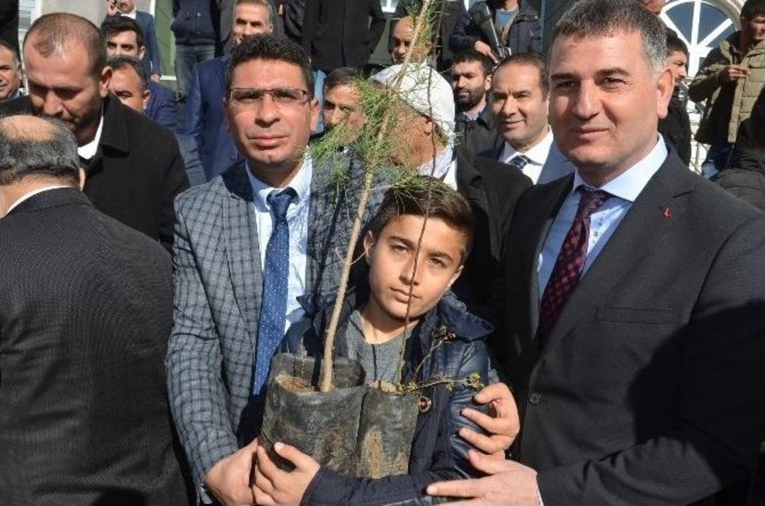 Viranşehir De 63 Bin &Ouml;ğrenciye 63 Bin Fidan Kampanyası