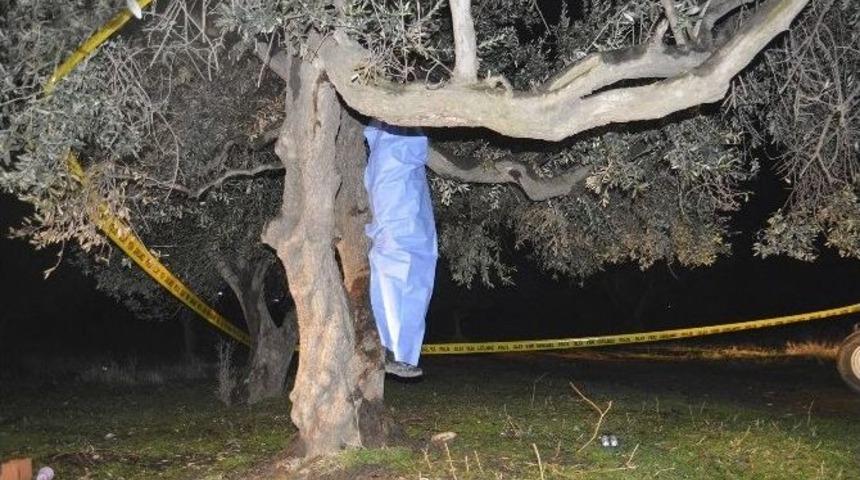 Kendini Ağaca Asarak İntihar Etti