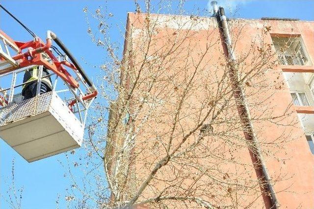 Ağaçta Mahsur Kalan Kediyi İtfaiye Kurtardı