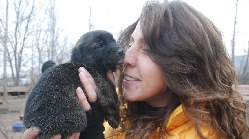 Bah&ccedil;esinde 100&rsquo;e Yakın K&ouml;peğe Bakan Hayvansevere Destek