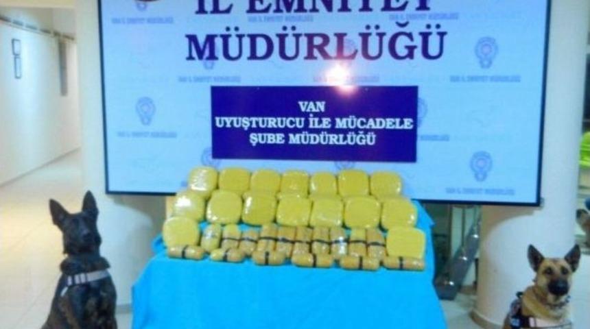 Ka&ccedil;ak&ccedil;ıların Korkulu R&uuml;yası: "lisa" Ve "şila"