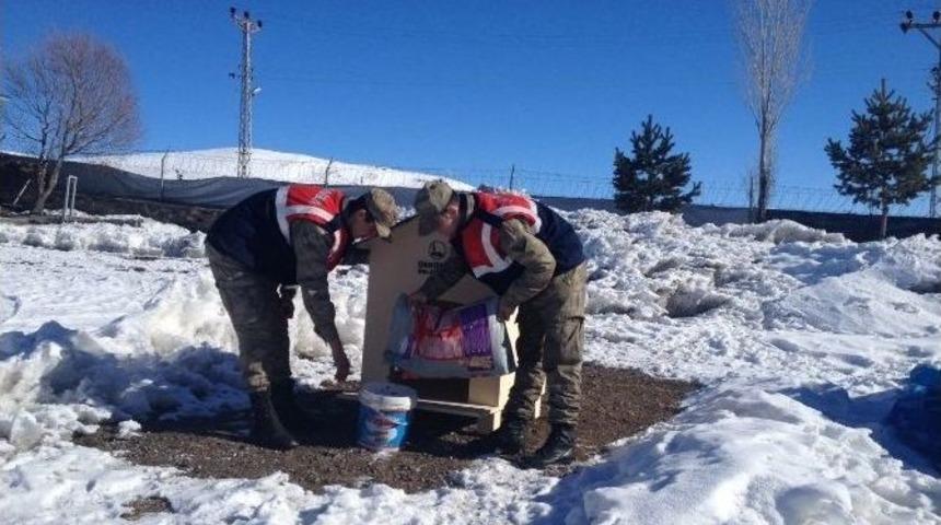 Dağpınar Jandarmadan &Ouml;rnek Davranış