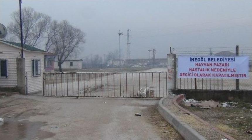 Bursa&rsquo;da İki Mahalle Karantinaya Alındı