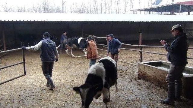 Bursa’da İki Mahalle Karantinaya Alındı