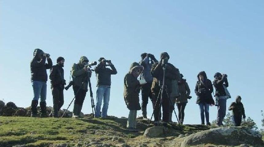 Sinop Kıyalarında Kuş Sayımı Yapıldı