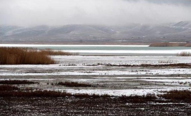 Burdur'da Kuşlar Için Havai Fişek Atımı Yasaklandı